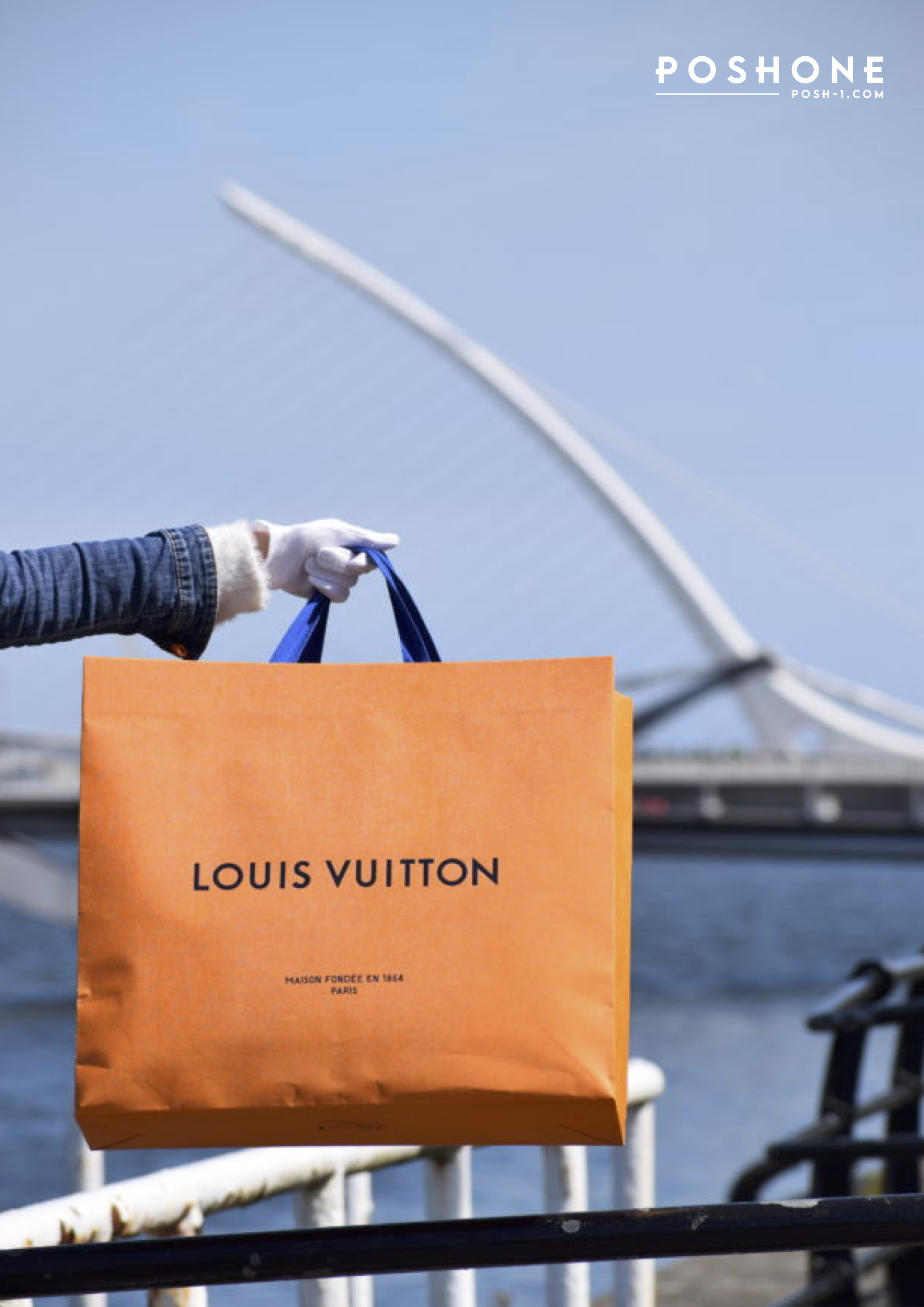 New Louis Vuitton Bags 2021 Airplane Crashed
