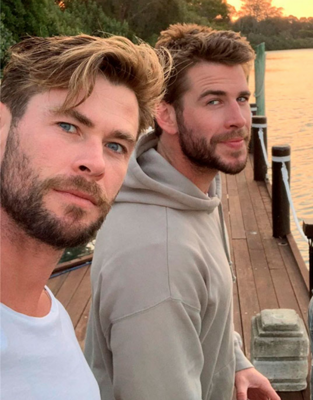 Chris And Liam Hemsworth Donate 1m To Help Fight A