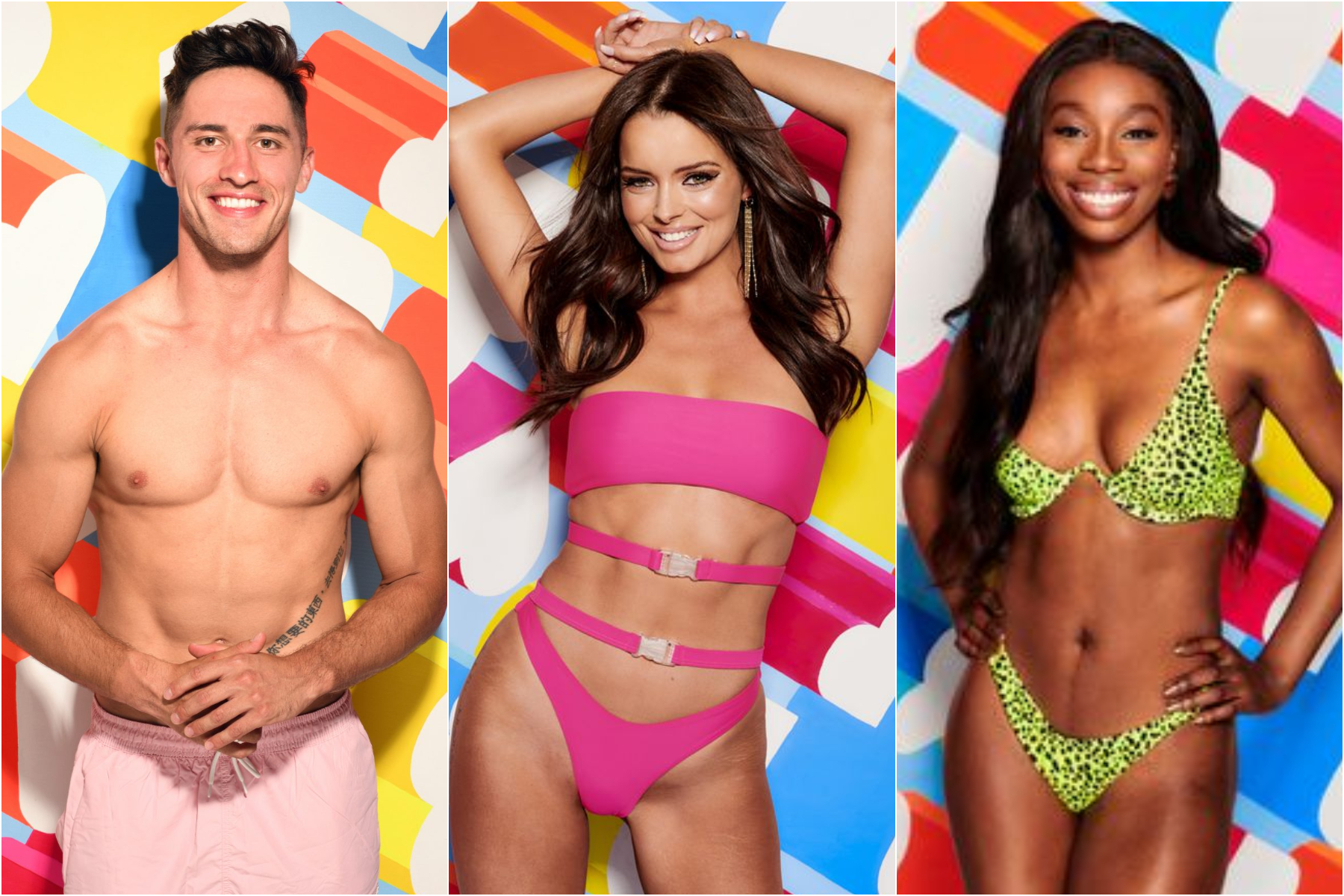 All the Irish contestants who appeared on Love Island Goss.ie picture pic