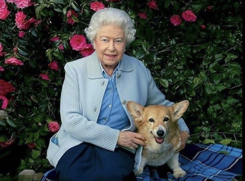 Queen Elizabeth II suffered ‘one final heartbreak’ just weeks before ...
